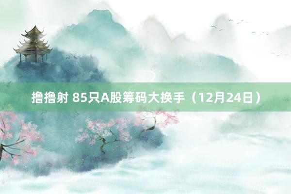 撸撸射 85只A股筹码大换手（12月24日）