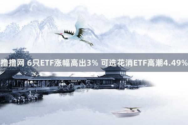 撸撸网 6只ETF涨幅高出3% 可选花消ETF高潮4.49%