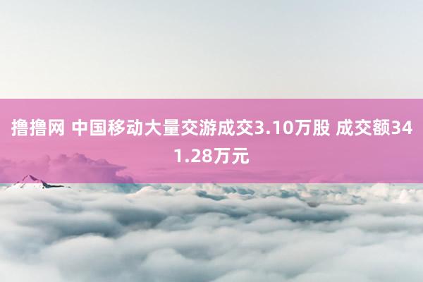 撸撸网 中国移动大量交游成交3.10万股 成交额341.28万元