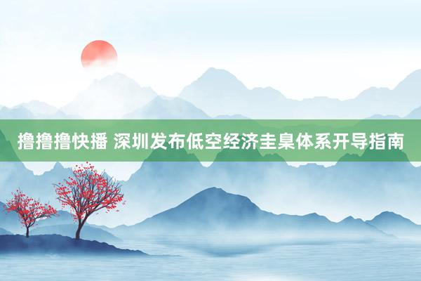 撸撸撸快播 深圳发布低空经济圭臬体系开导指南
