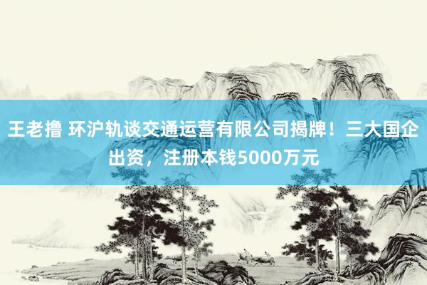 王老撸 环沪轨谈交通运营有限公司揭牌！三大国企出资，注册本钱5000万元