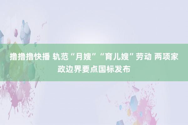 撸撸撸快播 轨范“月嫂”“育儿嫂”劳动 两项家政边界要点国标发布