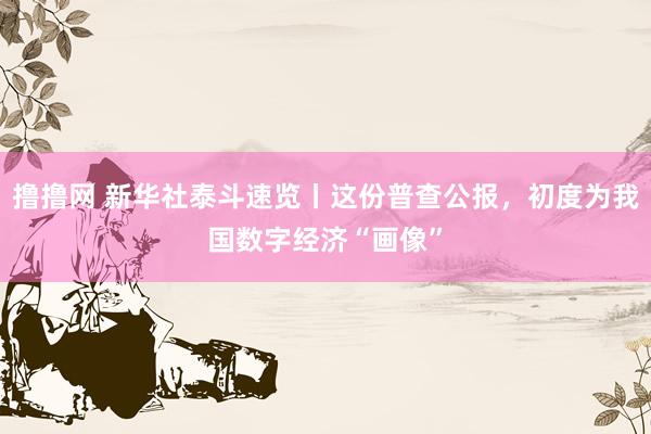撸撸网 新华社泰斗速览丨这份普查公报，初度为我国数字经济“画像”
