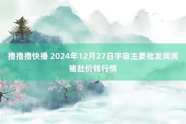 撸撸撸快播 2024年12月27日宇宙主要批发阛阓猪肚价钱行情
