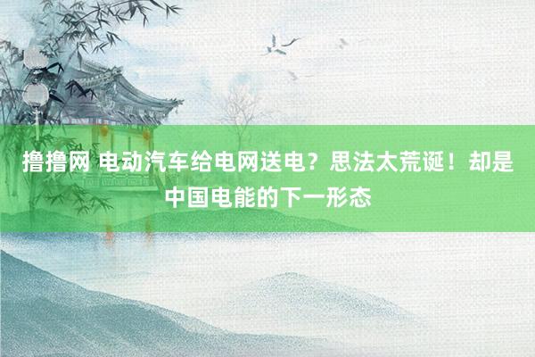 撸撸网 电动汽车给电网送电？思法太荒诞！却是中国电能的下一形态