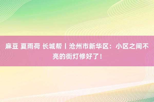 麻豆 夏雨荷 长城帮丨沧州市新华区：小区之间不亮的街灯修好了！