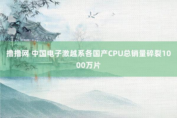 撸撸网 中国电子激越系各国产CPU总销量碎裂1000万片