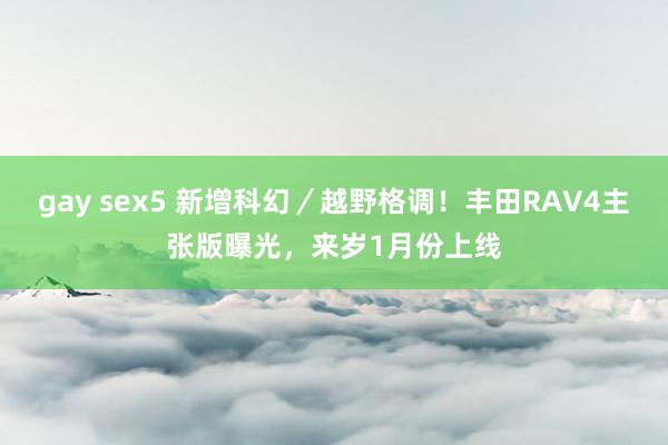 gay sex5 新增科幻／越野格调！丰田RAV4主张版曝光，来岁1月份上线