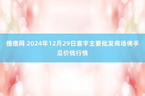 撸撸网 2024年12月29日寰宇主要批发商场佛手瓜价钱行情