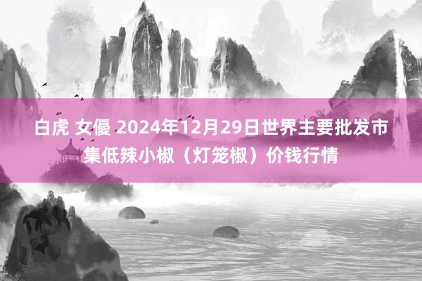 白虎 女優 2024年12月29日世界主要批发市集低辣小椒（灯笼椒）价钱行情