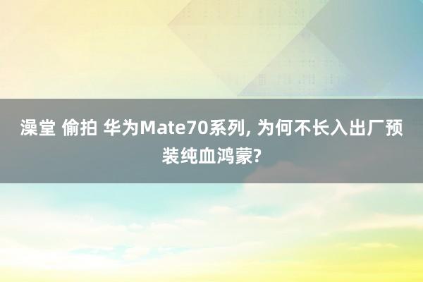澡堂 偷拍 华为Mate70系列, 为何不长入出厂预装纯血鸿蒙?