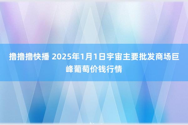 撸撸撸快播 2025年1月1日宇宙主要批发商场巨峰葡萄价钱行情