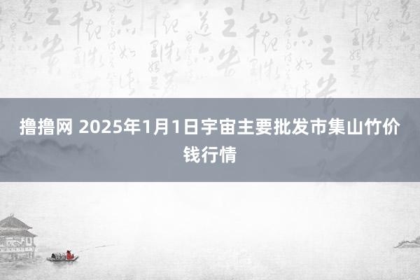 撸撸网 2025年1月1日宇宙主要批发市集山竹价钱行情