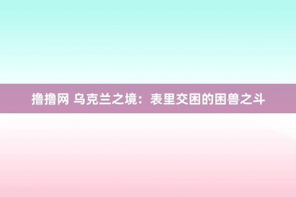 撸撸网 乌克兰之境：表里交困的困兽之斗