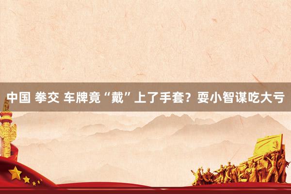 中国 拳交 车牌竟“戴”上了手套？耍小智谋吃大亏