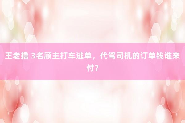 王老撸 3名顾主打车逃单，代驾司机的订单钱谁来付？