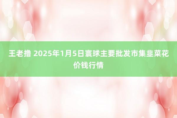 王老撸 2025年1月5日寰球主要批发市集韭菜花价钱行情