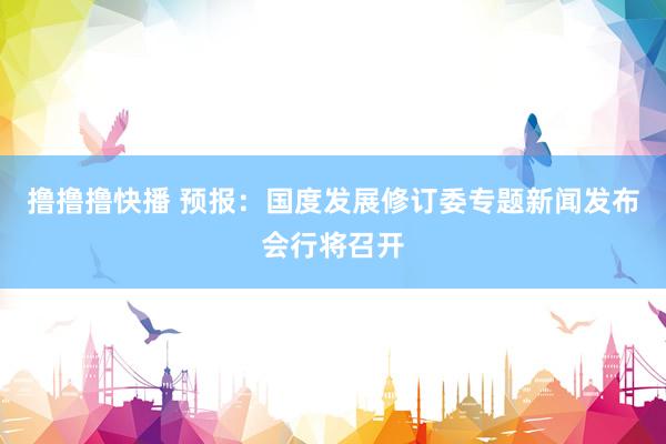 撸撸撸快播 预报：国度发展修订委专题新闻发布会行将召开