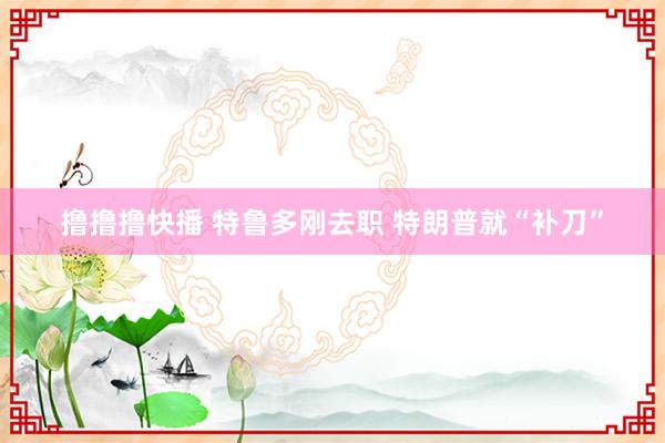 撸撸撸快播 特鲁多刚去职 特朗普就“补刀”