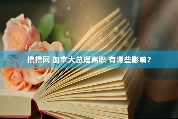 撸撸网 加拿大总理离职 有哪些影响？
