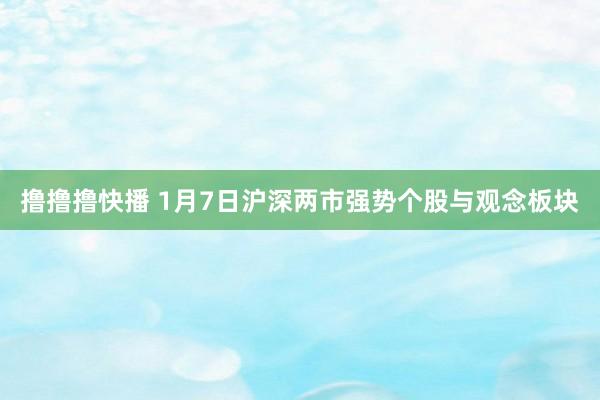 撸撸撸快播 1月7日沪深两市强势个股与观念板块