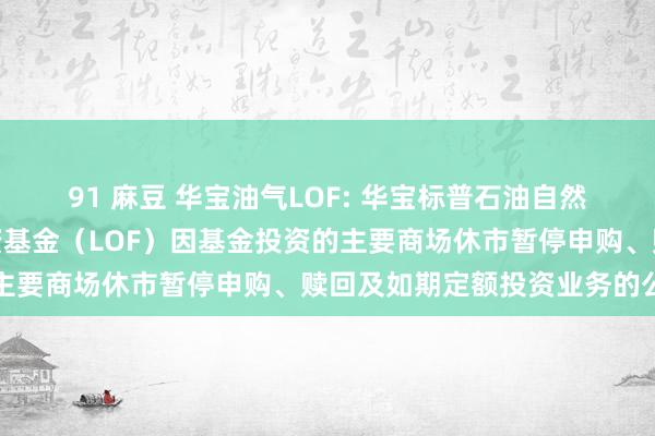 91 麻豆 华宝油气LOF: 华宝标普石油自然气上游股票指数证券投资基金（LOF）因基金投资的主要商场休市暂停申购、赎回及如期定额投资业务的公告