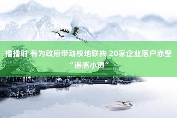 撸撸射 有为政府带动校地联袂 20家企业落户赤壁“遥感小镇”