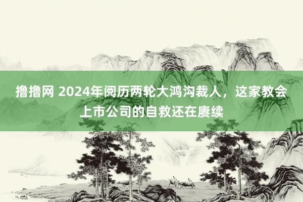 撸撸网 2024年阅历两轮大鸿沟裁人，这家教会上市公司的自救还在赓续