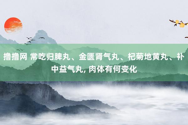 撸撸网 常吃归脾丸、金匮肾气丸、杞菊地黄丸、补中益气丸， 肉体有何变化
