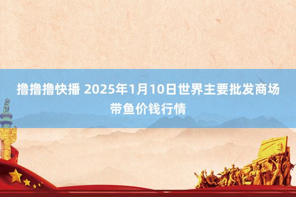 撸撸撸快播 2025年1月10日世界主要批发商场带鱼价钱行情