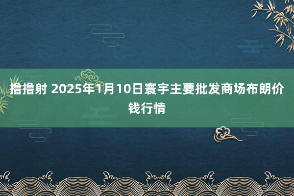 撸撸射 2025年1月10日寰宇主要批发商场布朗价钱行情