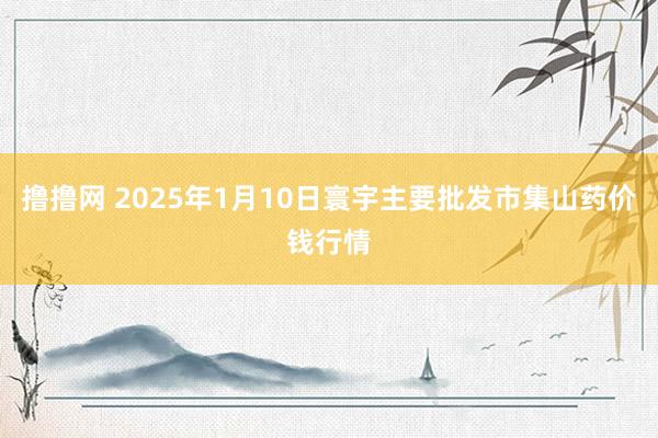 撸撸网 2025年1月10日寰宇主要批发市集山药价钱行情