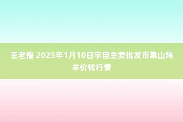 王老撸 2025年1月10日宇宙主要批发市集山羯羊价钱行情