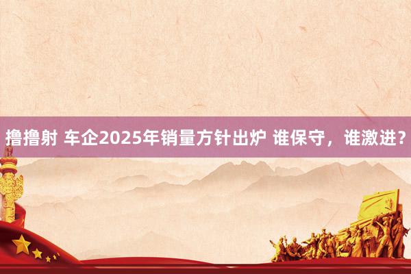撸撸射 车企2025年销量方针出炉 谁保守，谁激进？