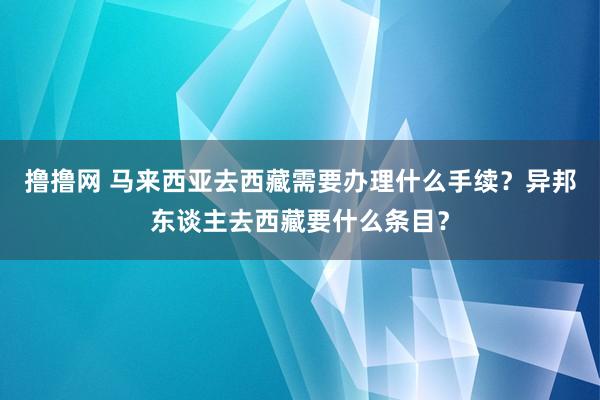 撸撸网 马来西亚去西藏需要办理什么手续？异邦东谈主去西藏要什么条目？