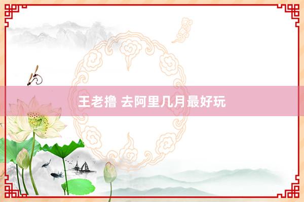 王老撸 去阿里几月最好玩