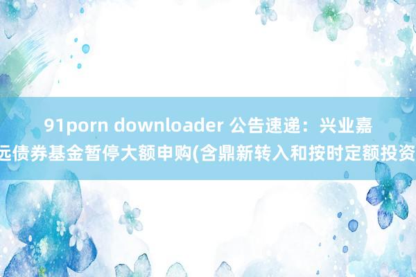 91porn downloader 公告速递：兴业嘉远债券基金暂停大额申购(含鼎新转入和按时定额投资)