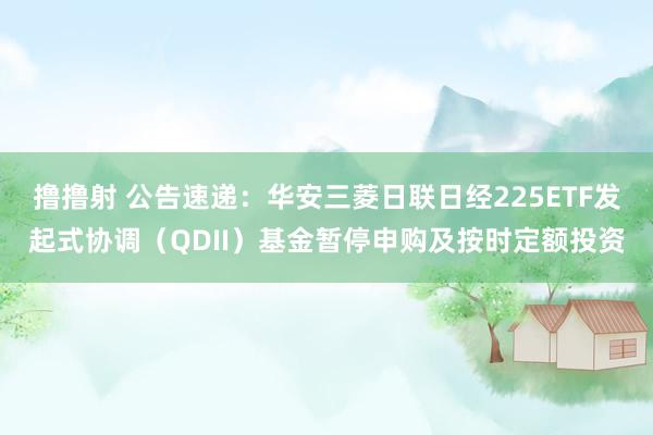 撸撸射 公告速递：华安三菱日联日经225ETF发起式协调（QDII）基金暂停申购及按时定额投资