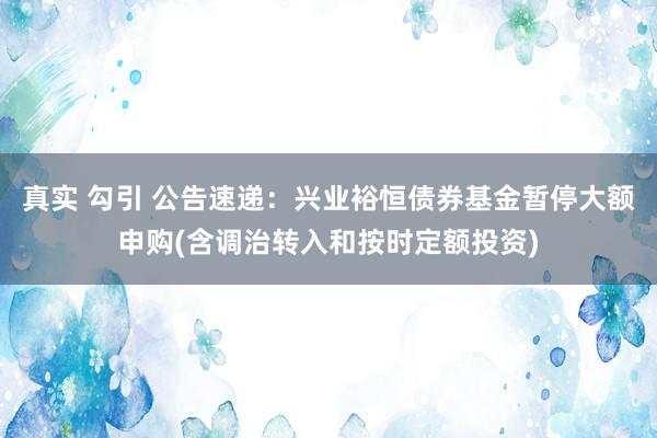 真实 勾引 公告速递：兴业裕恒债券基金暂停大额申购(含调治转入和按时定额投资)