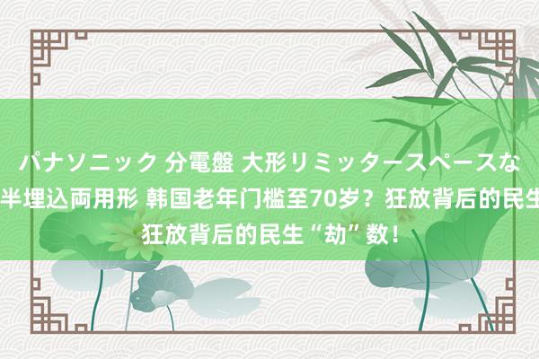パナソニック 分電盤 大形リミッタースペースなし 露出・半埋込両用形 韩国老年门槛至70岁？狂放背后的民生“劫”数！