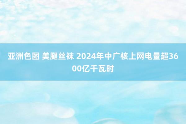 亚洲色图 美腿丝袜 2024年中广核上网电量超3600亿千瓦时