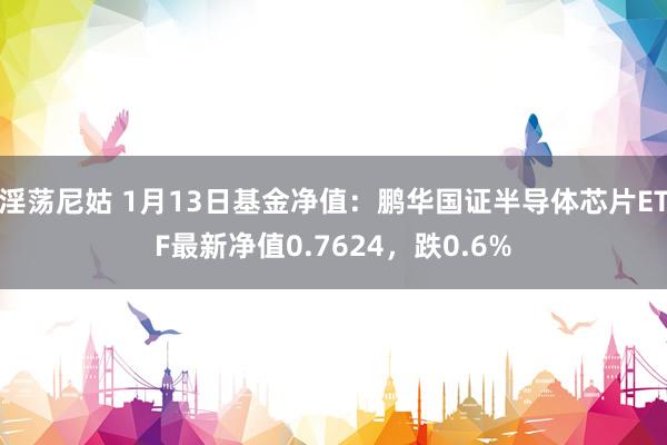 淫荡尼姑 1月13日基金净值：鹏华国证半导体芯片ETF最新净值0.7624，跌0.6%