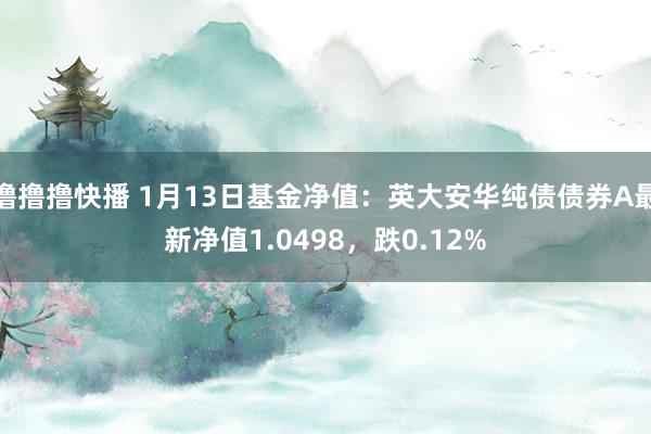 撸撸撸快播 1月13日基金净值：英大安华纯债债券A最新净值1.0498，跌0.12%