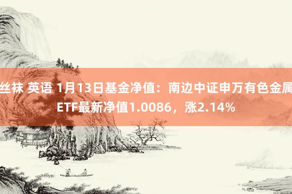 丝袜 英语 1月13日基金净值：南边中证申万有色金属ETF最新净值1.0086，涨2.14%