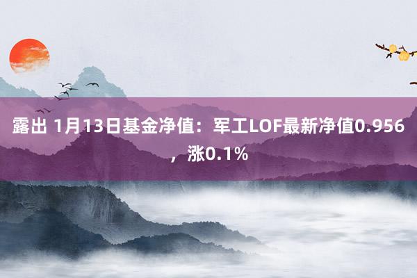 露出 1月13日基金净值：军工LOF最新净值0.956，涨0.1%