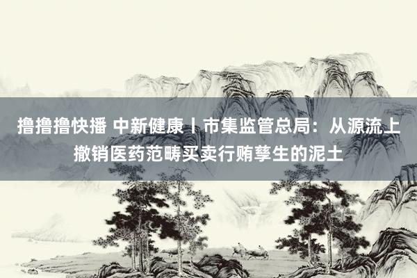 撸撸撸快播 中新健康丨市集监管总局：从源流上撤销医药范畴买卖行贿孳生的泥土