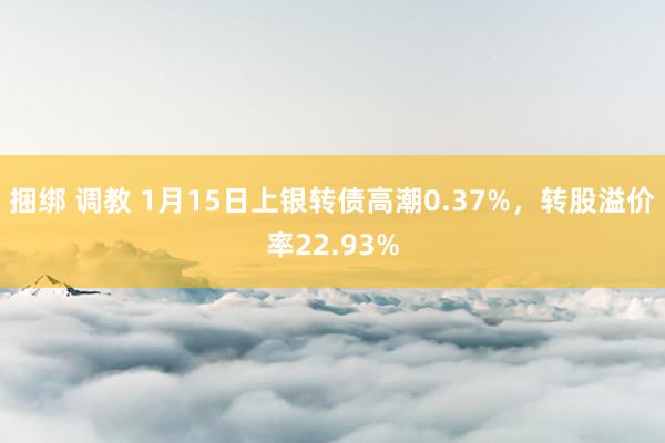 捆绑 调教 1月15日上银转债高潮0.37%，转股溢价率22.93%