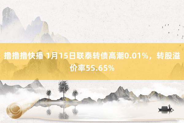 撸撸撸快播 1月15日联泰转债高潮0.01%，转股溢价率55.65%