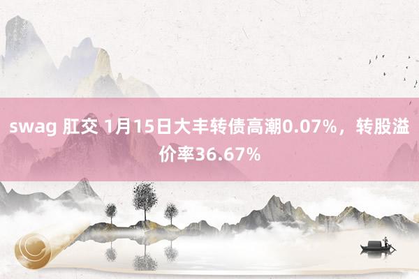 swag 肛交 1月15日大丰转债高潮0.07%，转股溢价率36.67%