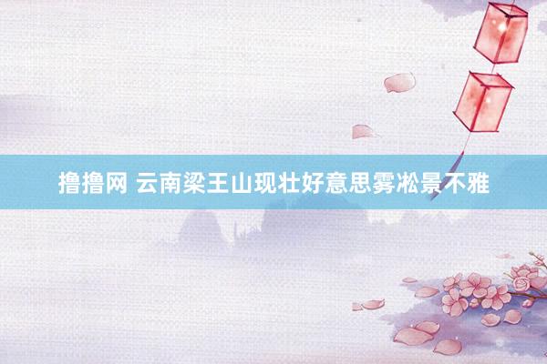 撸撸网 云南梁王山现壮好意思雾凇景不雅